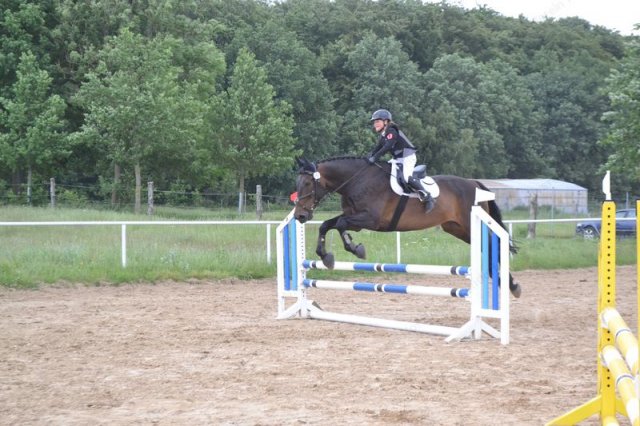 reitertag 2013 72